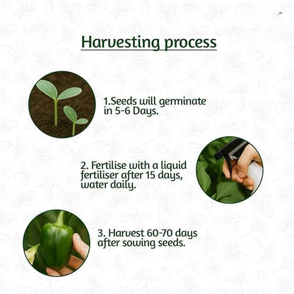 35 Variety Vegetable Seed Kit