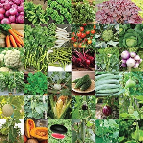 35 Variety Vegetable Seed Kit