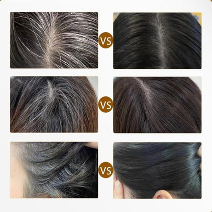 Convenient 2 In 1 Touch-Up Comb Hair Dye