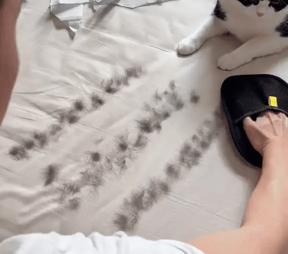 Pet Hair Removing Glove by Litflux