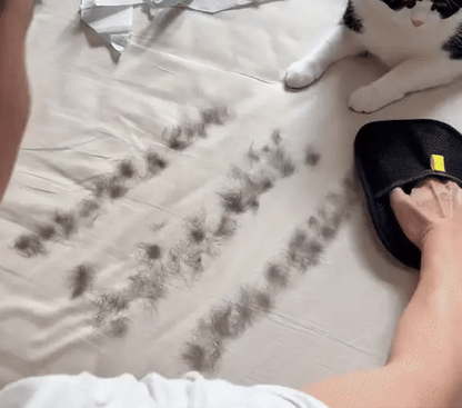 Pet Hair Removing Glove by Litflux