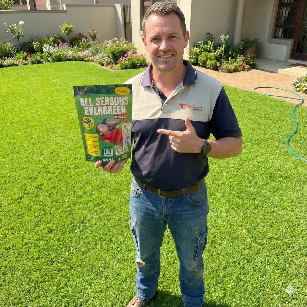 All Season Evergreen Grass Seeds