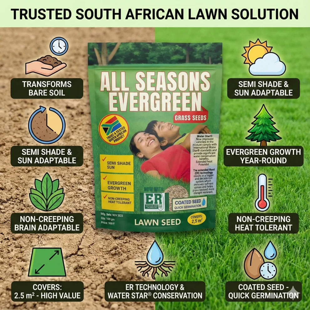 All Season Evergreen Grass Seeds