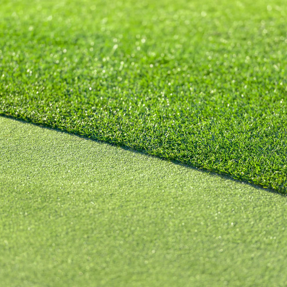 All Season Evergreen Grass Seeds