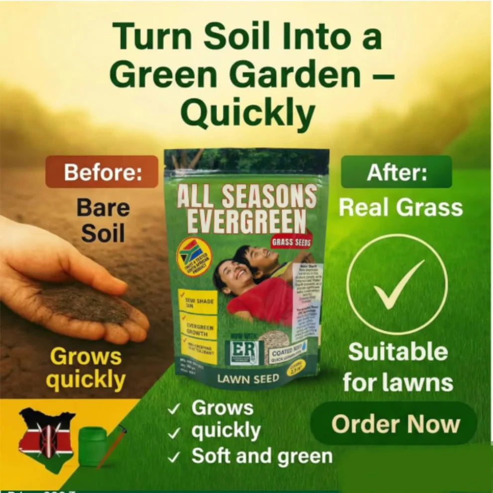 All Season Evergreen Grass Seeds